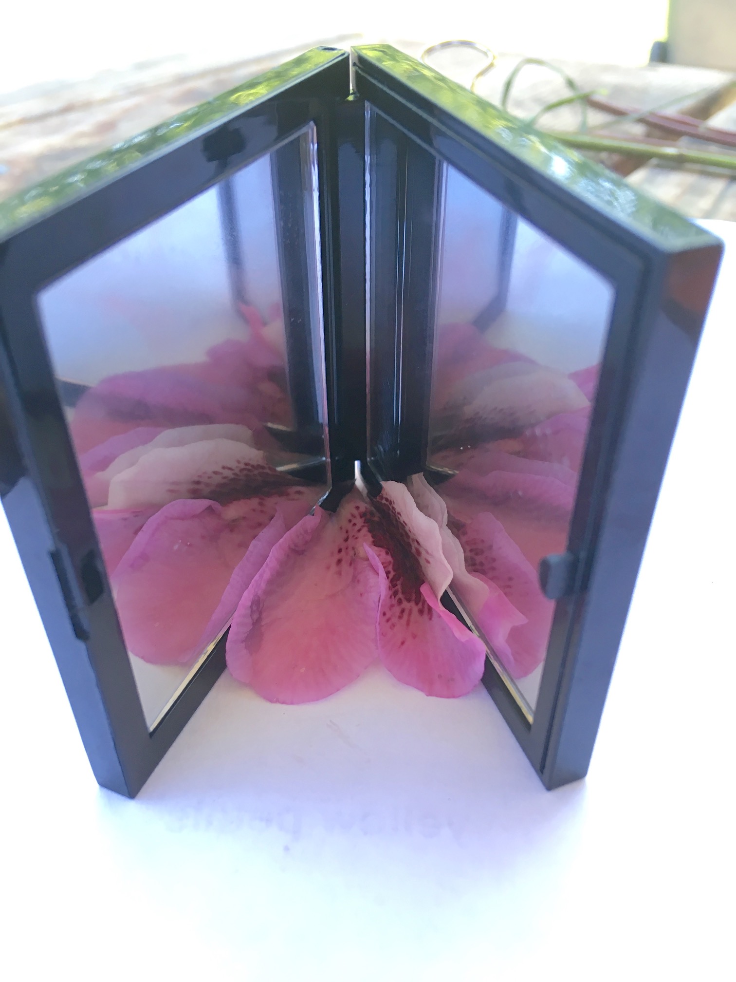 Mirror symmetry patterns | ingridscience.ca