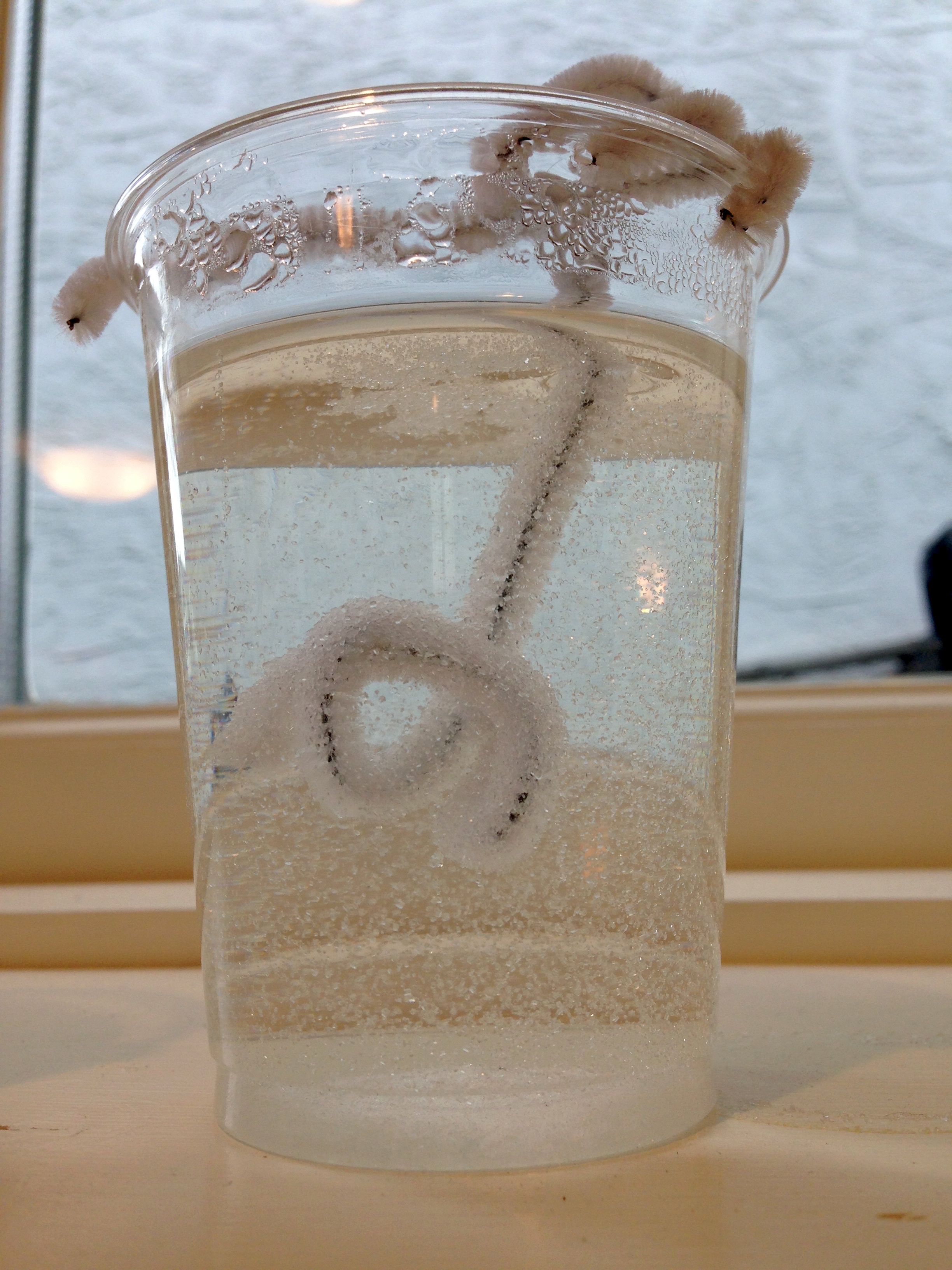 Growing borax crystals ingridscience.ca