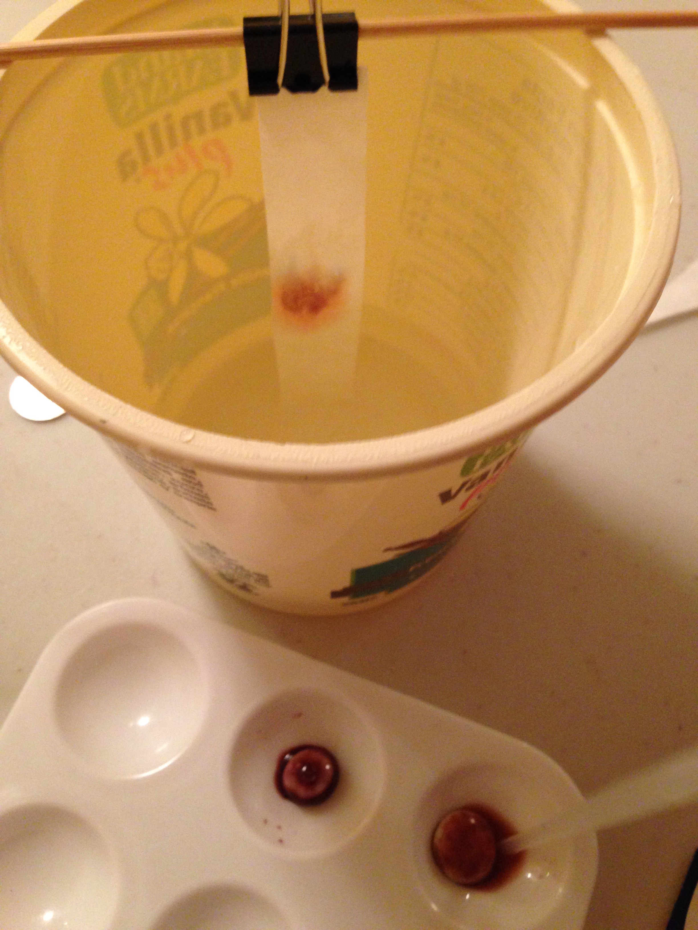 Chromatography with coloured candy ingridscience.ca