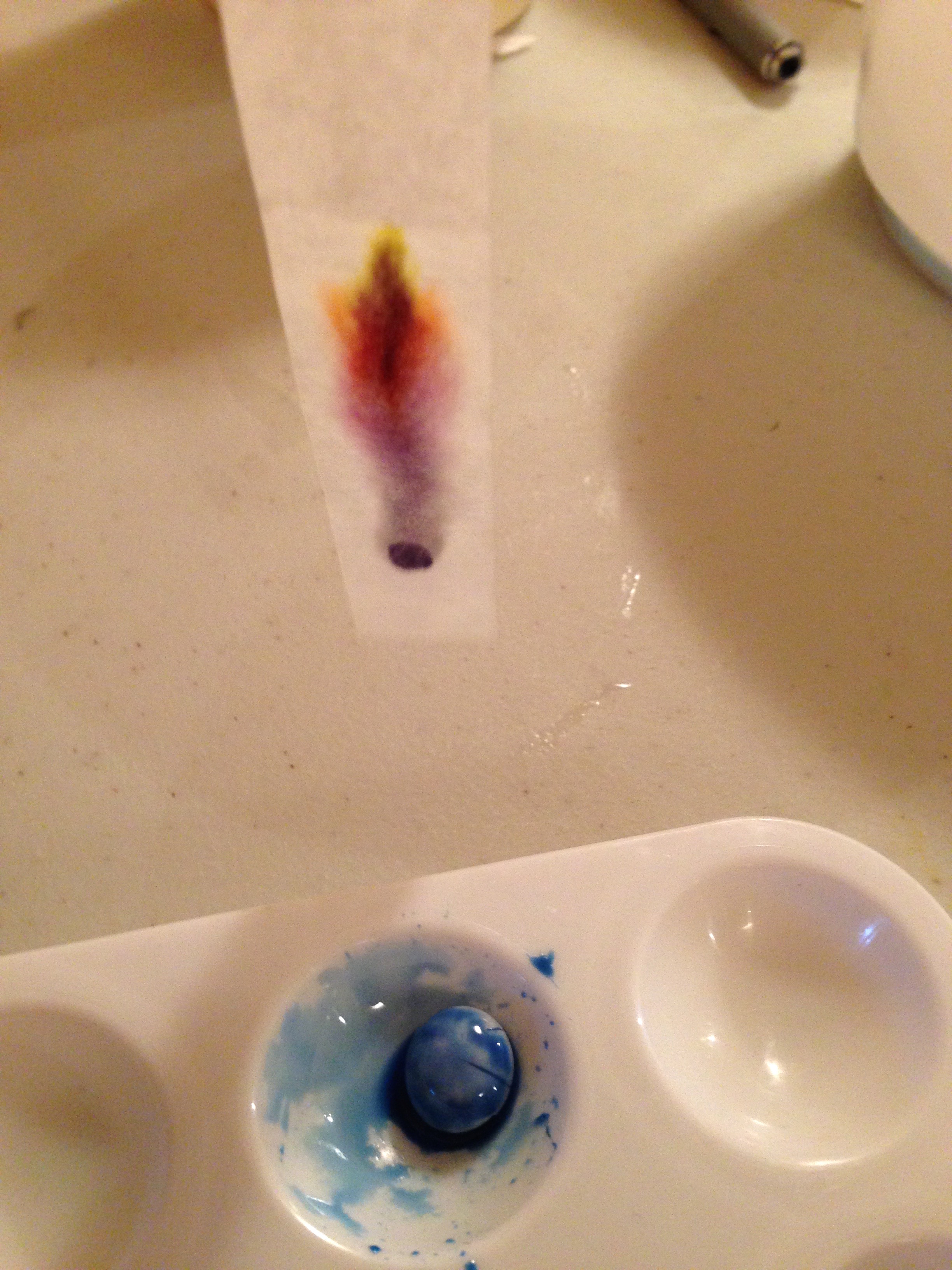 Chromatography with coloured candy ingridscience.ca