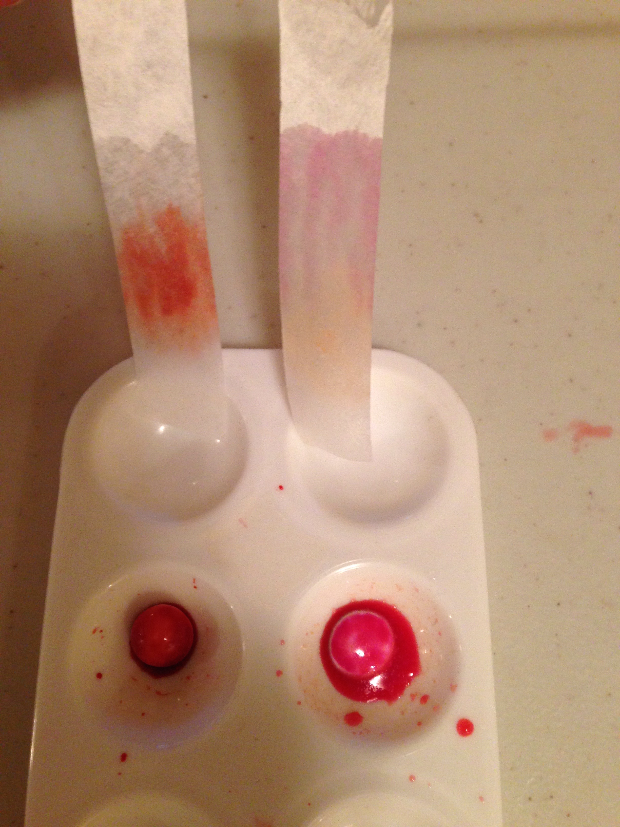 Chromatography with coloured candy ingridscience.ca