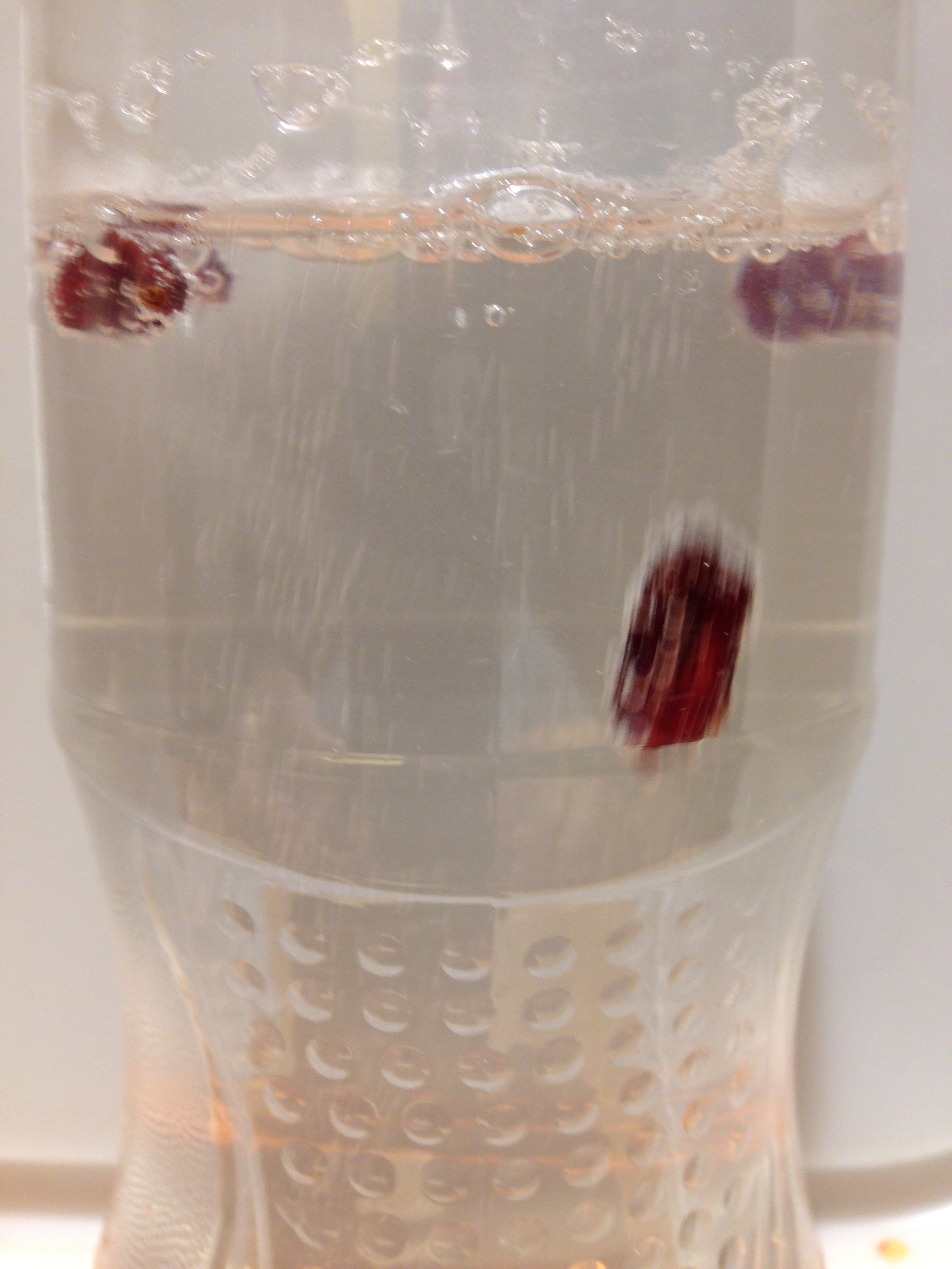 Dancing raisins ingridscience.ca