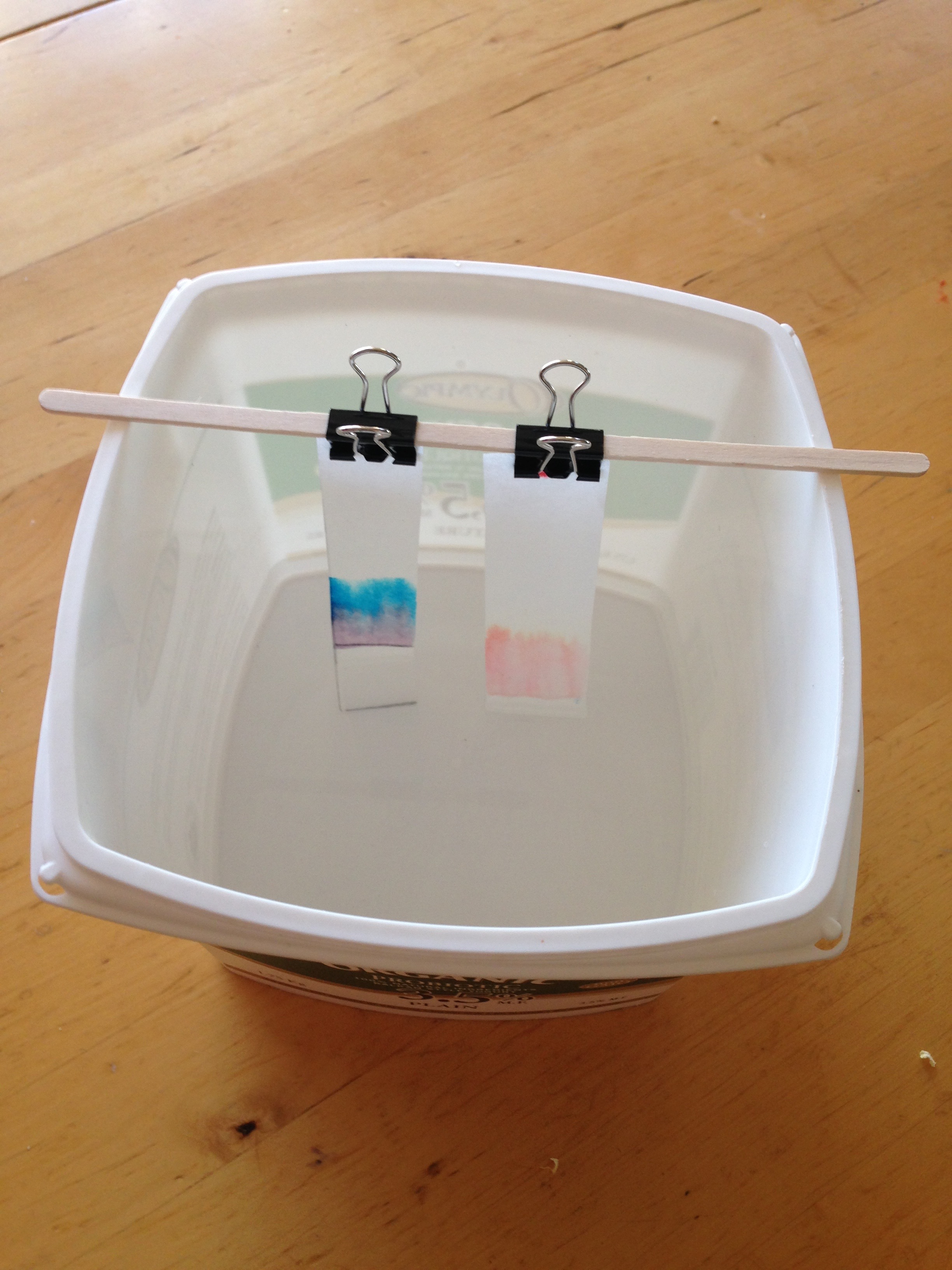 Chromatography with coloured marker pens ingridscience.ca