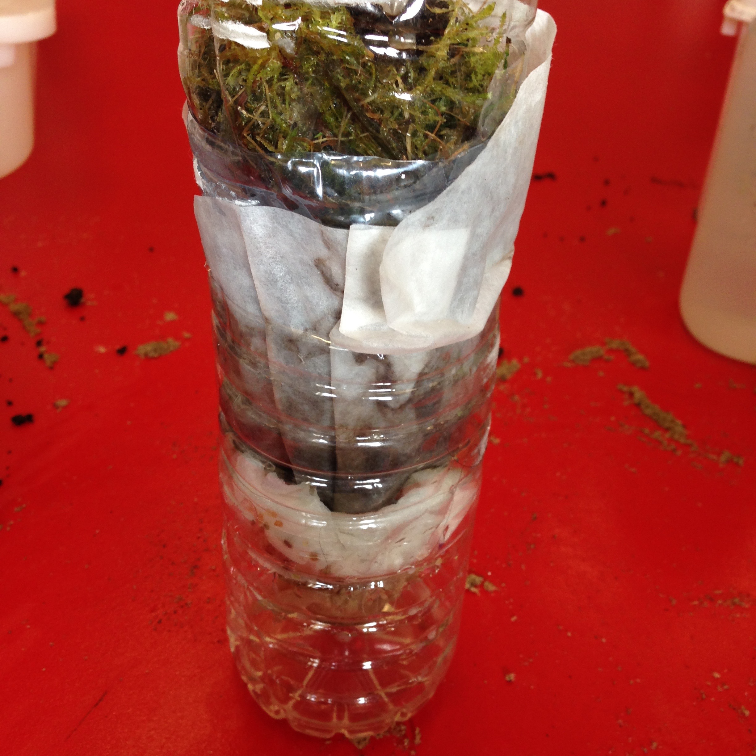filtering-water-ingridscience-ca