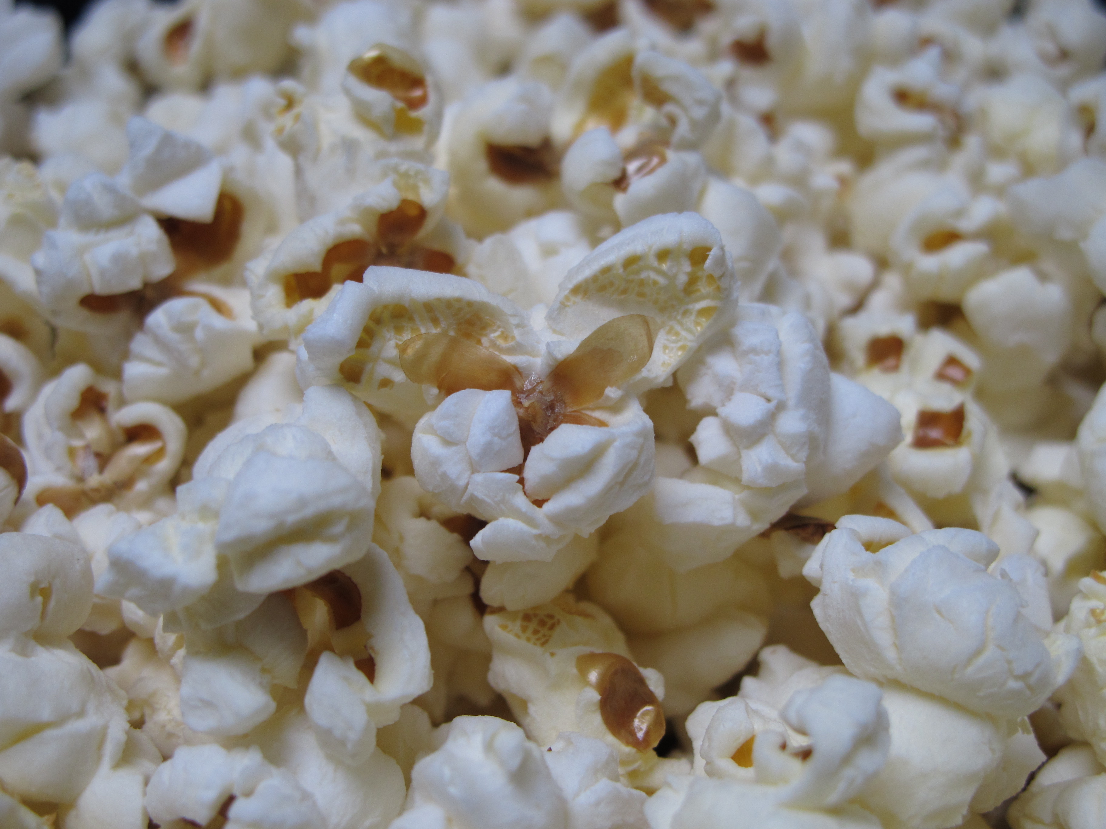 Popcorn ingridscience.ca