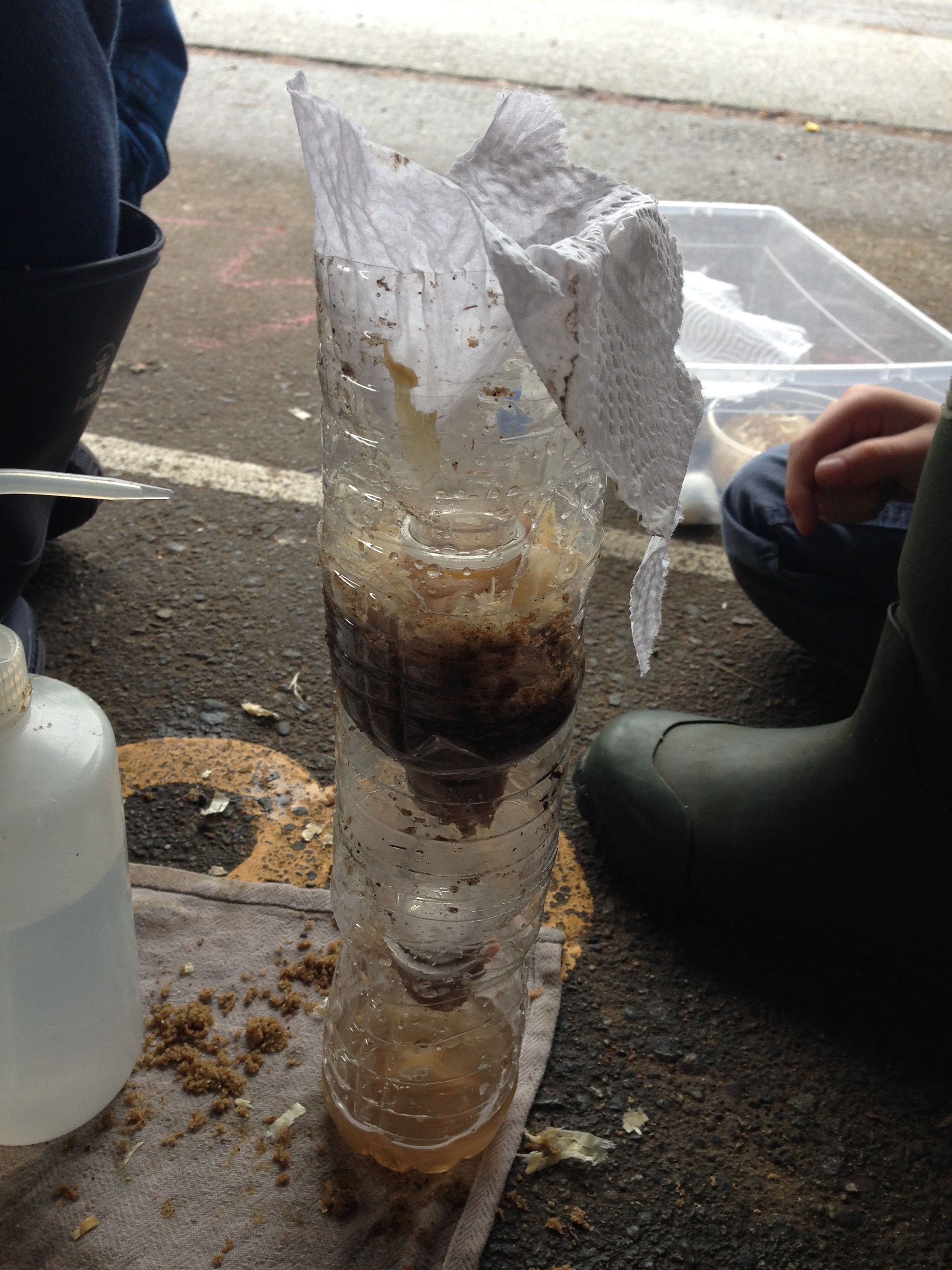 Filtering Water ingridscience.ca