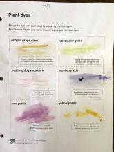 Plant dye worksheet