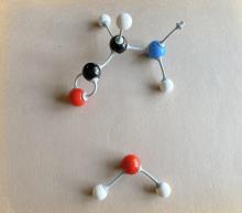 piece of protein molecule will chemically react with water