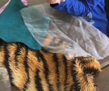 Different cloths to test