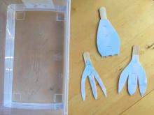 Compare animal feet shapes 