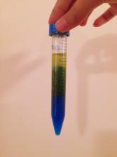 oil and water starting to separate