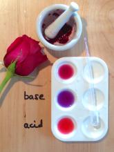 Colours from dark red rose