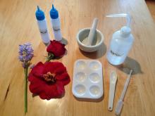 Materials: flowers, mortar and pestle, water and teaspoon, paint tray and dropper, bottles of acid (vinegar) and base (baking soda solution)