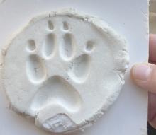 animal print in modelling clay