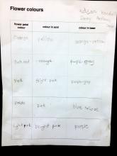 Student worksheet