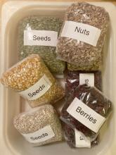 Bear food to add to scale