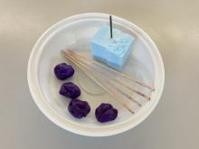 Materials for a student