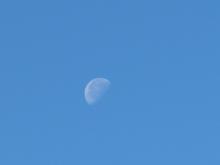 Real half moon