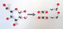 yeast breaks sugar molecules down
