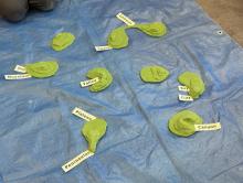 Labelling the landforms in the class landscape