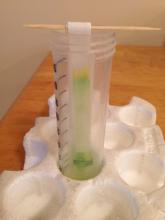Hang the filter paper in a tube containing ethanol