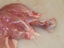 white stringy tendons