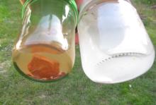 comparing terra cotta and chalk weathering