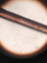 hair through microscope