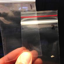 baggies of hair and other trace evidence