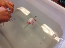 Challenge to make styrofoam float halfway down a tub of water