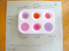 Testing sourness with red cabbage dye