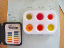 Testing sourness with a commercial indicator