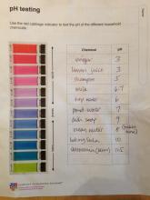 Red cabbage dye (and pH indicator) | ingridscience.ca