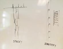 molecule shapes in sticky and elastic materials