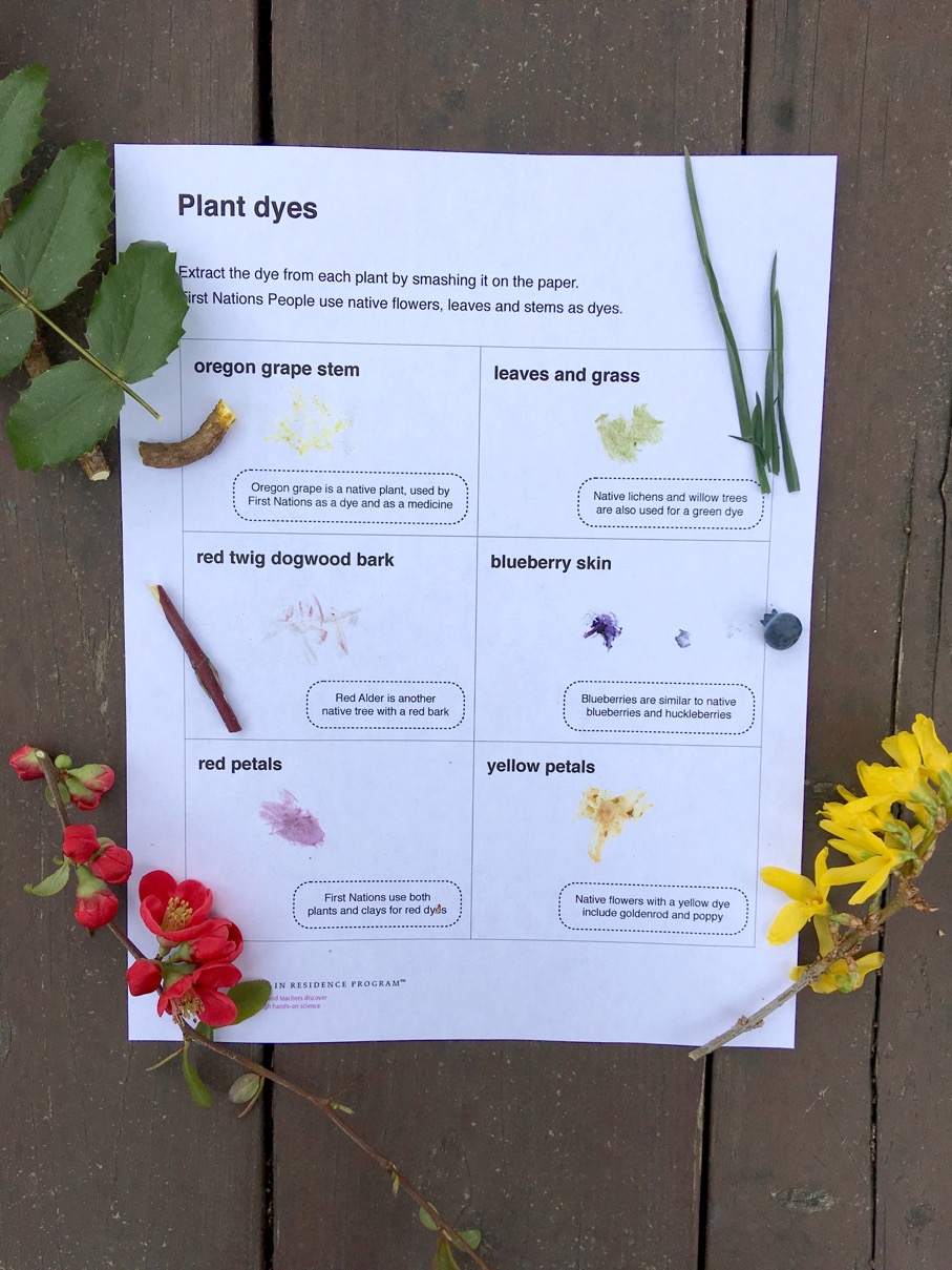 Extracting dyes from plants ingridscience.ca