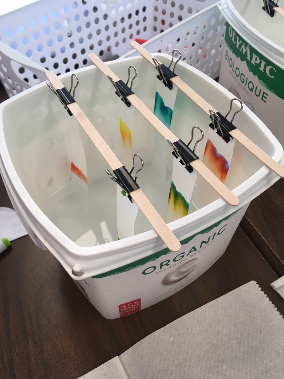 Chromatography with coloured marker pens ingridscience.ca