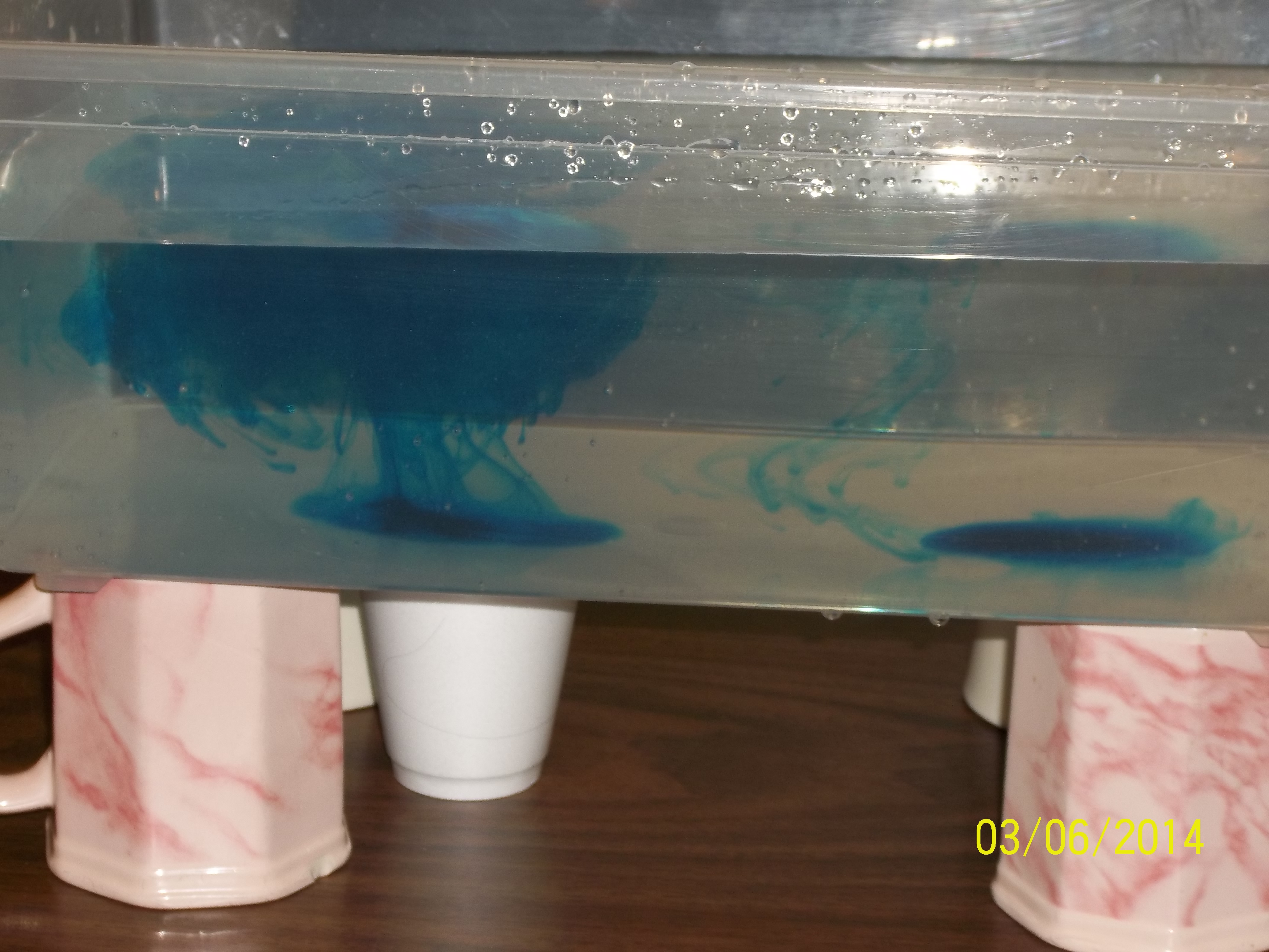 Heat convection demonstration ingridscience.ca