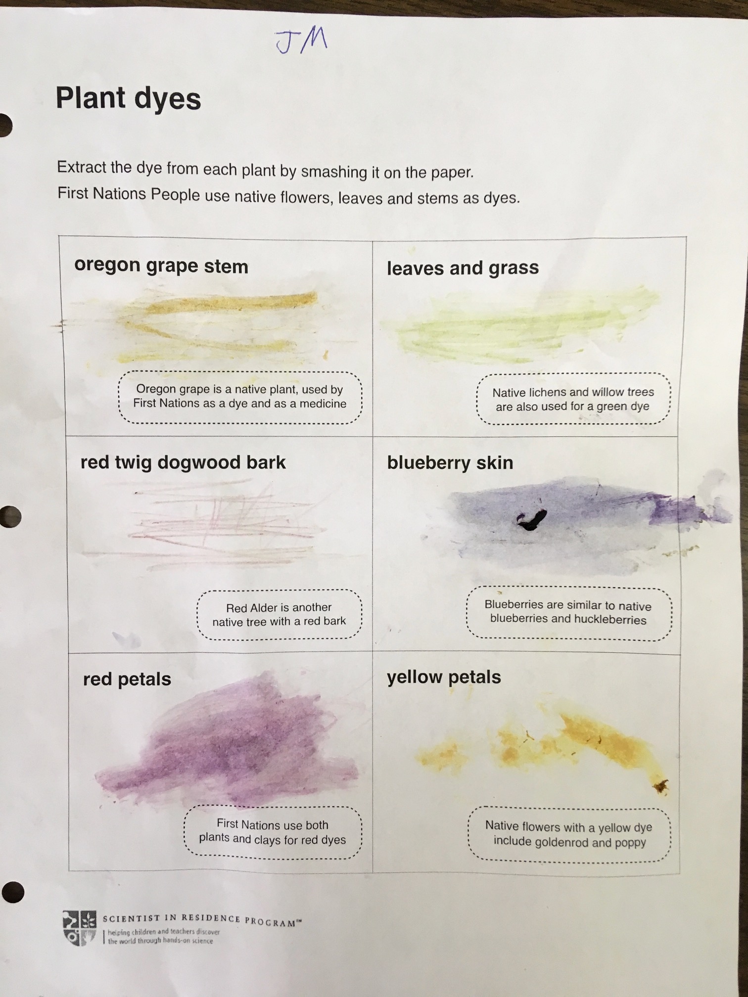 extracting dyes from plants ingridscience ca greeting card