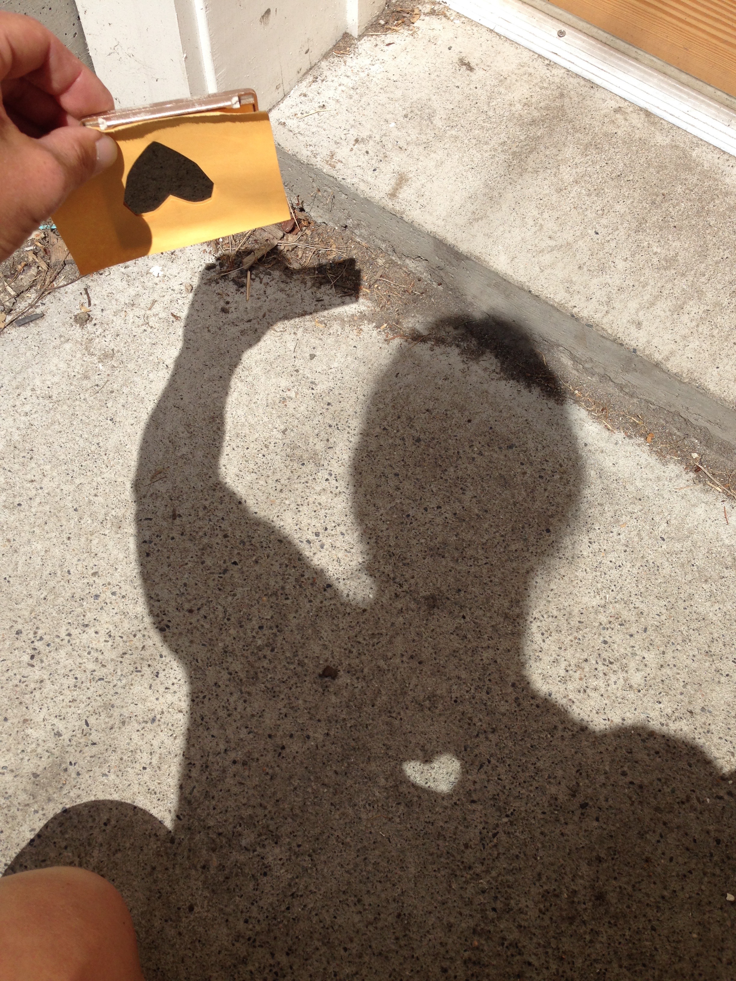 Shadows and mirrors ingridscience.ca