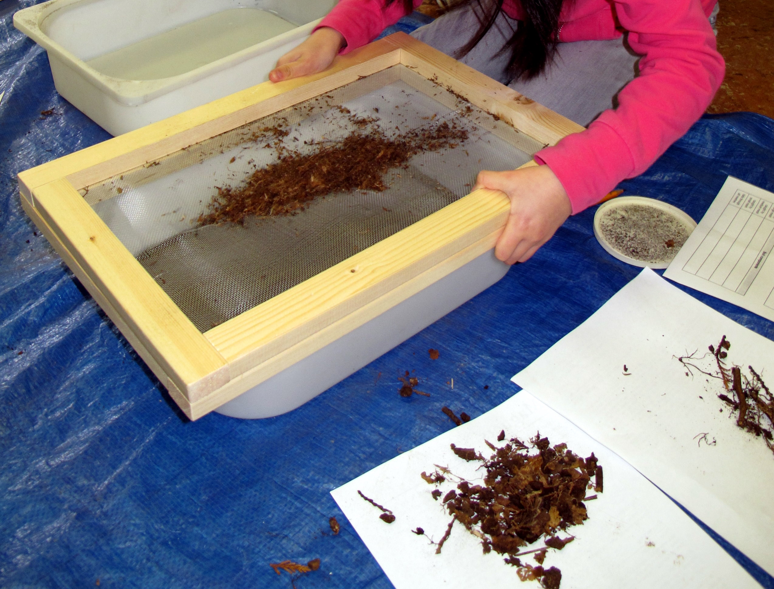Soil sieving ingridscience.ca