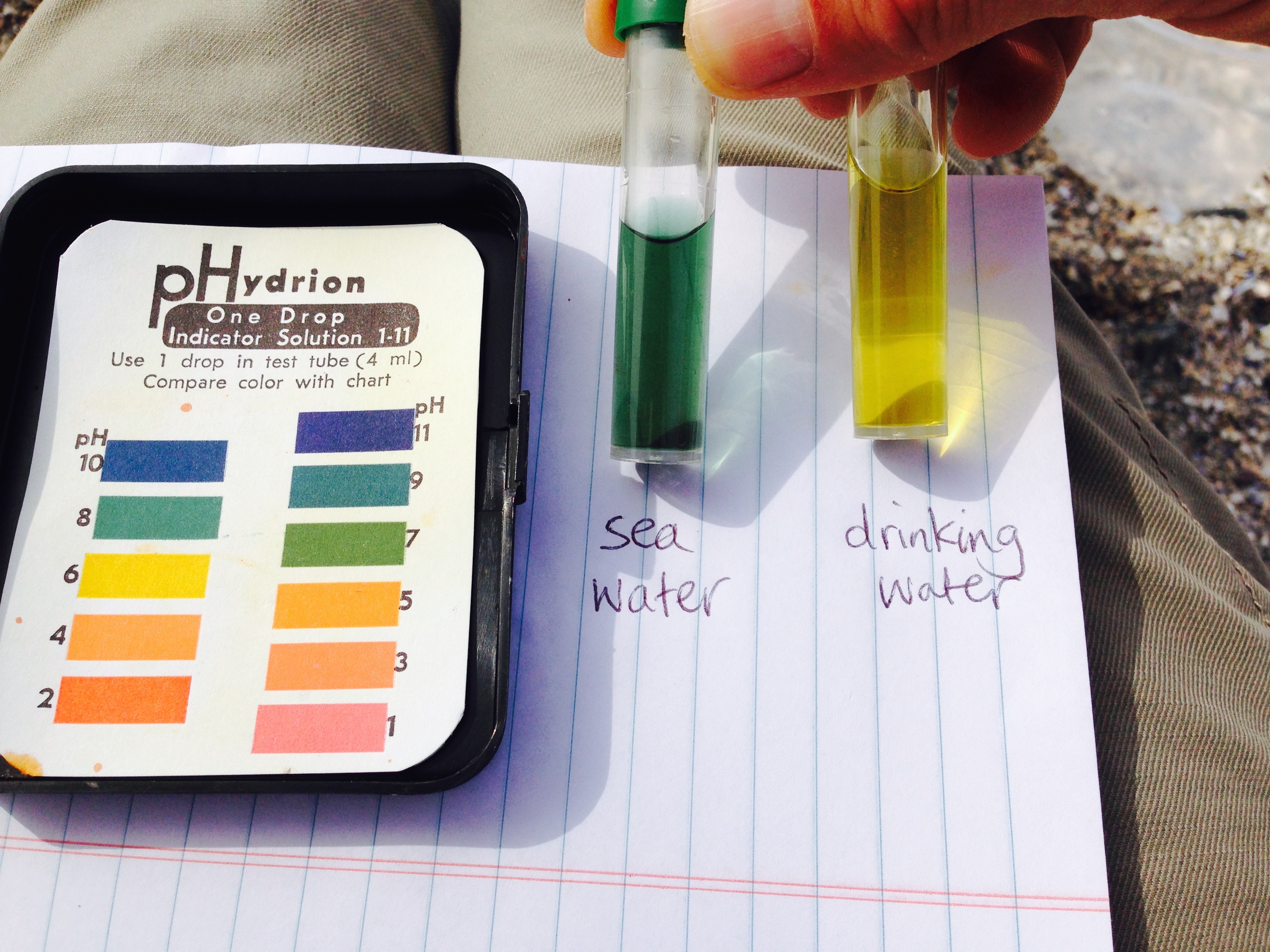 Water pH test | ingridscience.ca