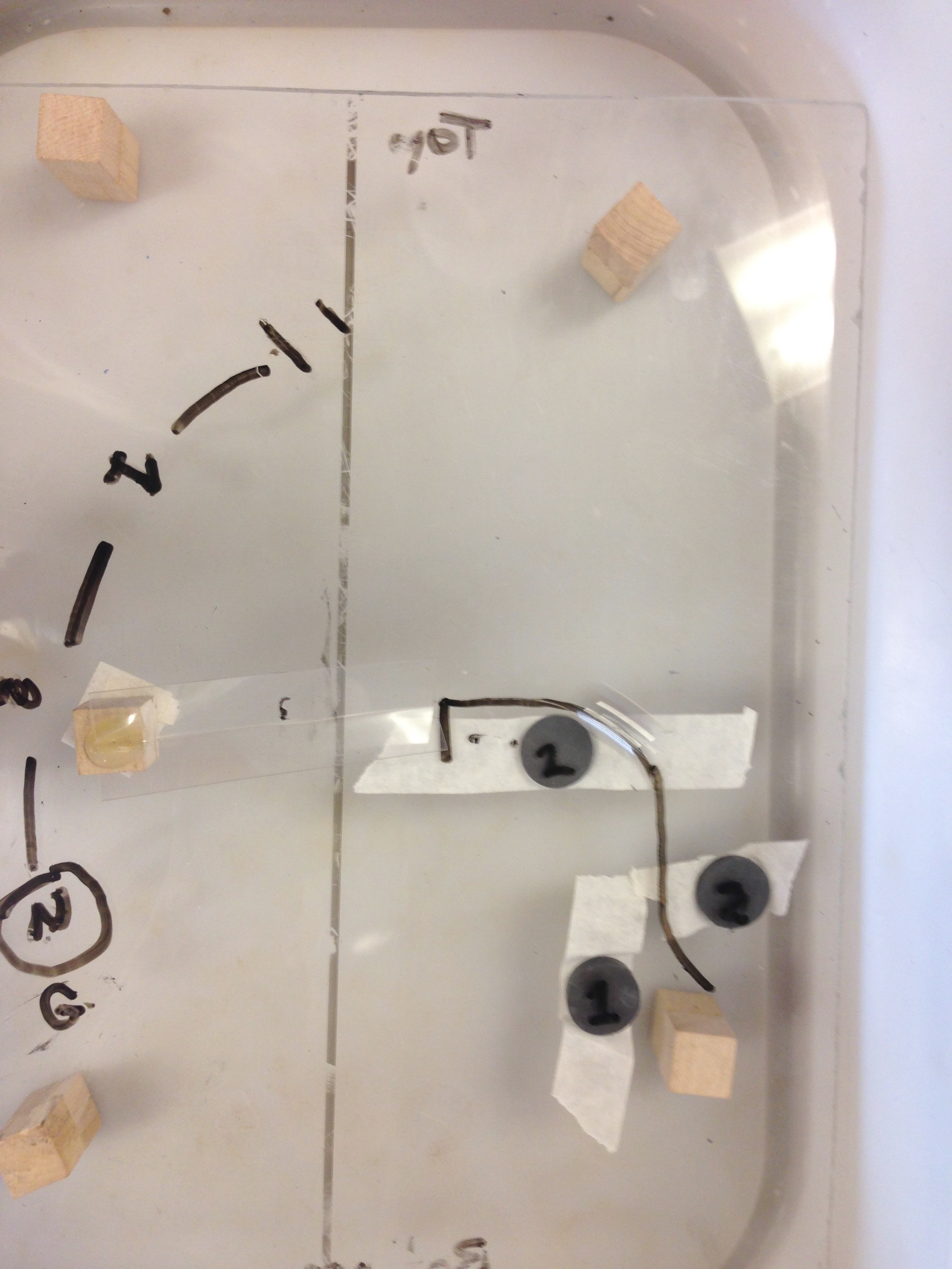 Gravity Assist Model | ingridscience.ca