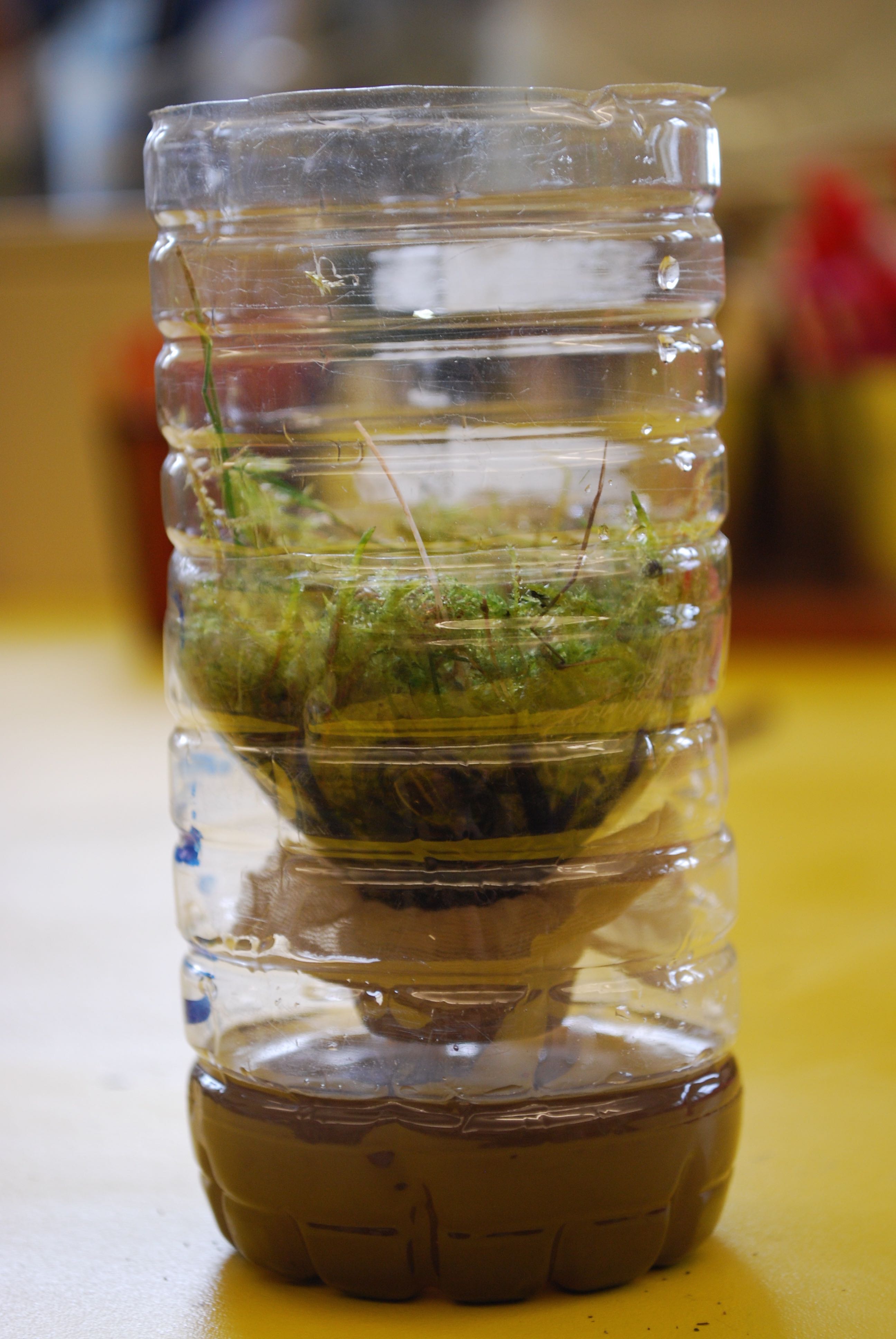 water filter filtering ingridscience earth space cycle activities