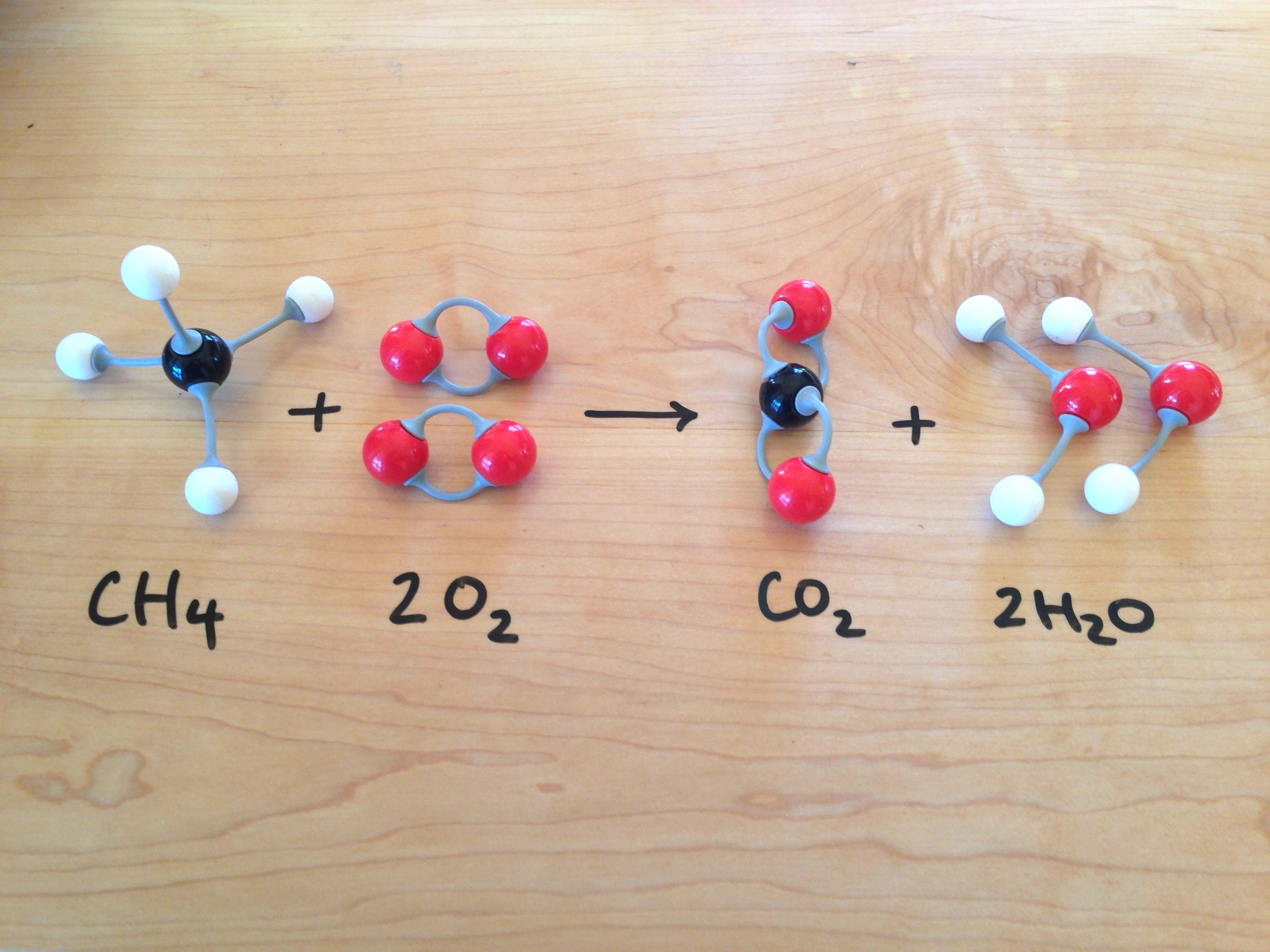 From Wax Models To Scientific Fame: Anna Morandi Manzolini - ltsz9sm