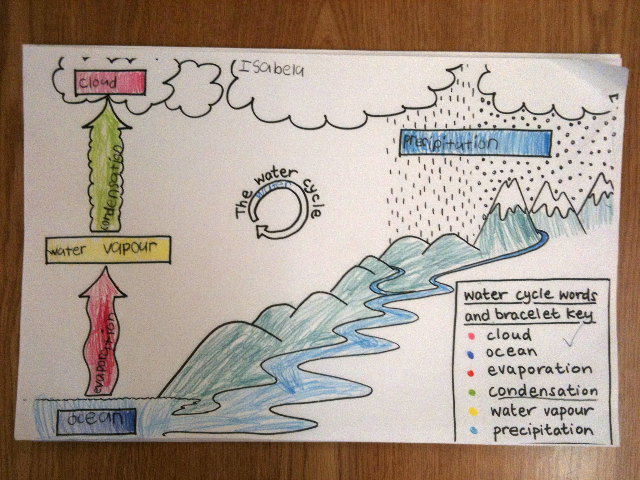 assignment on water cycle