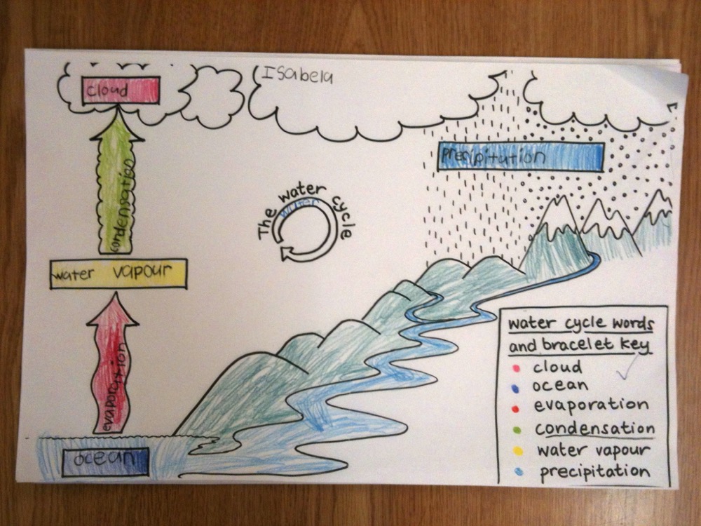 Water Cycle Diagram Vector 99515 Vector Art at Vecteezy