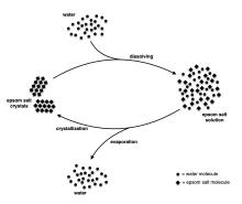 Diagram of the physical processes