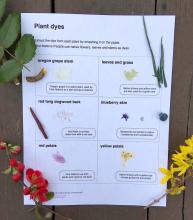 Plant dye worksheet with corresponding plants