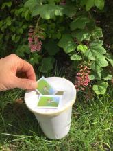 Matching pollinator card with pot