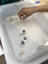 Students get creative with free play